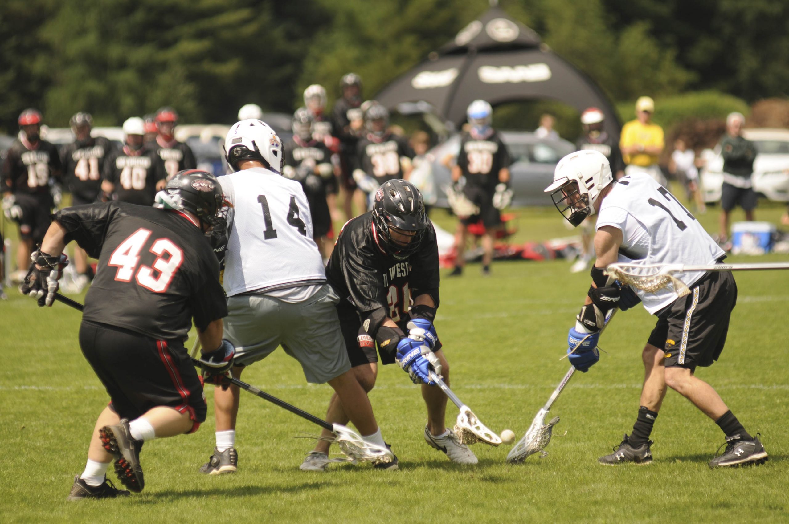 Loving their lacrosse News, Sports, Jobs Adirondack Daily Enterprise